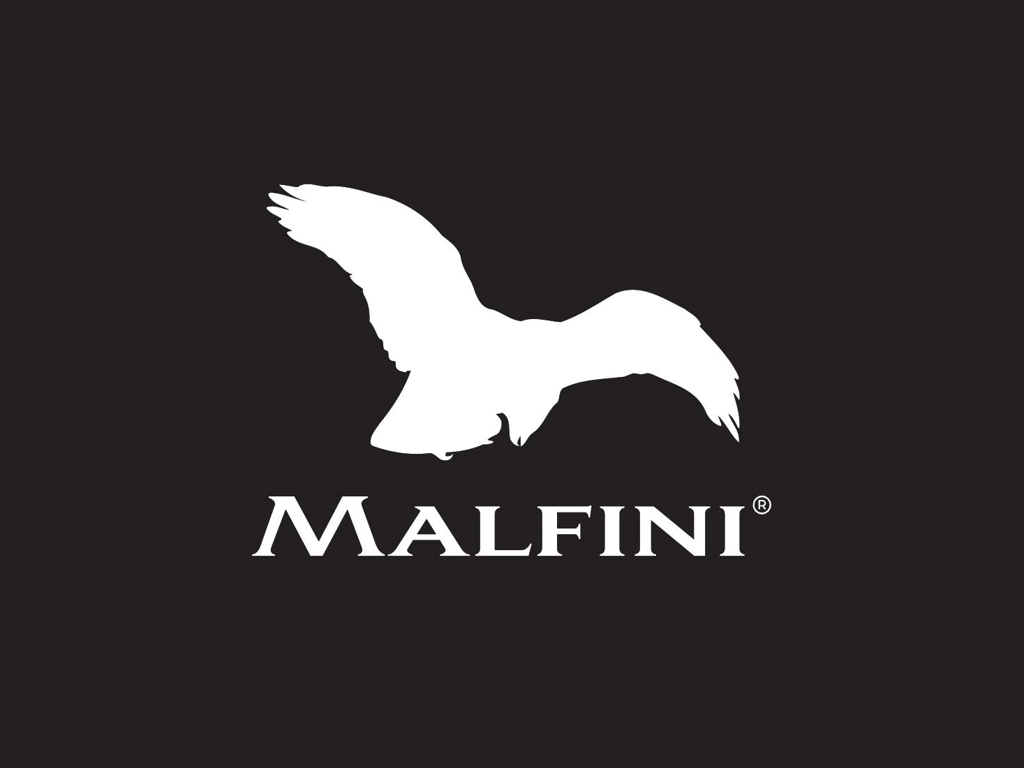 Malfini logo